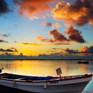 夏尔米3D视频在线
